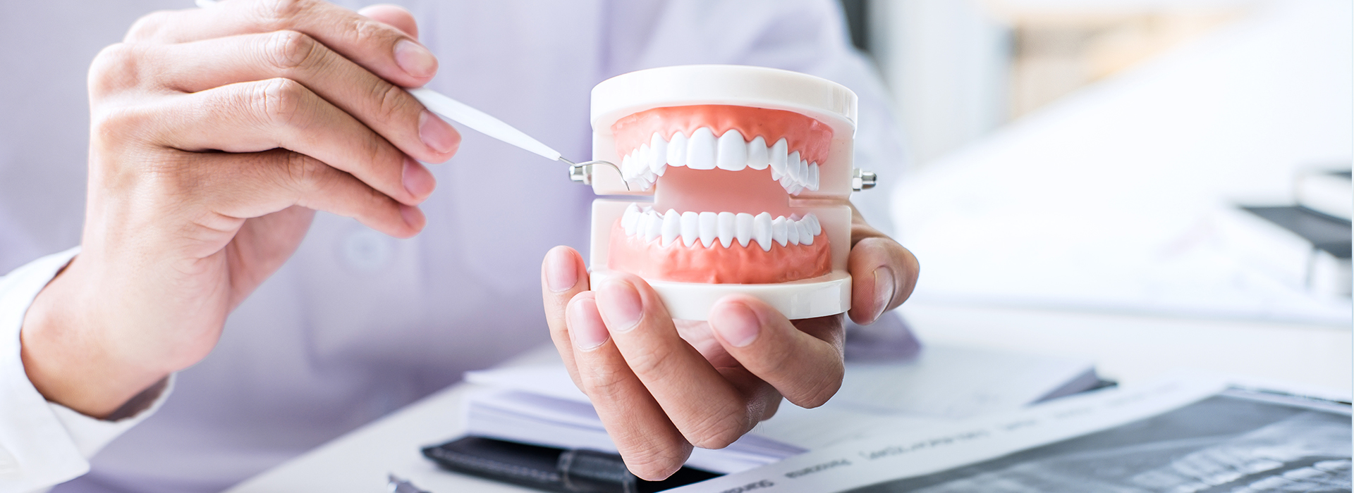 The image shows a person holding a tooth model with a toothpick inserted into the model s mouth while wearing gloves, indicating dental hygiene or a dental professional demonstrating proper oral care practices.