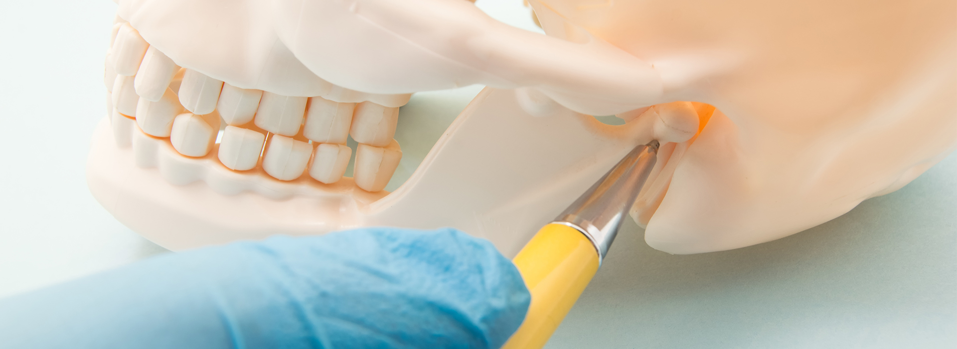 A dental hygiene scene with a toothbrush cleaning a model mouth, set against a white background.